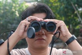 NTB berpeluang menjadi destinasi ekowisata pengamatan burung