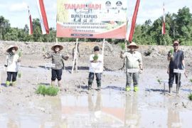 Tanam padi perdana di lokasi Cetak Sawah Rakyat Kapuas