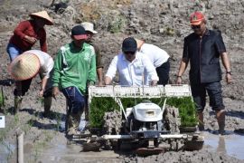 Legislator apresiasi bantuan alsintan untuk petani di Kapuas