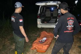 Seorang pria ditemukan membusuk di kebun sawit di Murung Raya