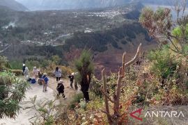 Pembalakan liar dominasi hasil operasi Gakkum KLHK Sulawesi