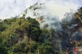 Kebakaran lahan di Limapuluh Kota, pemadaman di puncak terkendala akses