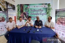BKSDA Kalteng bersama mitra gali strategi optimalkan pemutakhiran data konservasi orang utan