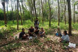 Gubernur Sumsel optimalkan peran penyuluh pertanian bangkitkan jiwa usaha petani