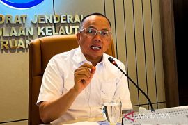 Indonesia's islands not for sale: ministry asserts