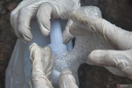 Cara Mengatasi Air Rumah yang Keruh dan Penyebab Bau atau Rasa Aneh pada Air