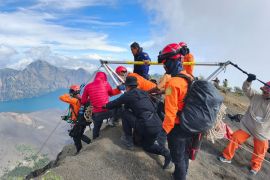 Menhut koordinasikan penyelamatan pendaki Brazil jatuh di Gunung Rinjani