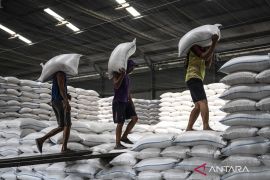 Indonesia's rice stock set to hit record 3.5 mln tons in 2025