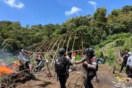 Bareskrim Polri bongkar keberadaan 25 hektare ladang ganja di Aceh