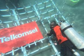 Telkomsel Poin dan BenihBaik ajak pelanggan dukung konservasi terumbu karang di Pantai Malalayang