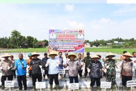 Bupati: Gerakan tanam  cabai upaya penguatan ketahanan pangan