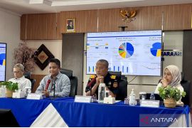 Ekonomi Kalsel tumbuh 4,81 persen di tengah tantangan global