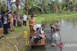 Bangka Tengah resmikan sentra ikan gurame di Desa Jelutung