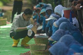 Wapres Gibran sebut Indonesia produsen kopi terbesar keempat di dunia