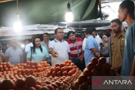 Gubernur NTT: harga kebutuhan pokok di Kupang masih normal