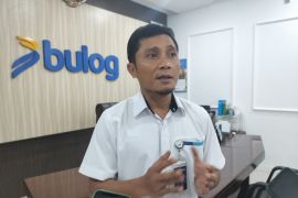 Bulog Sumbar terus kebut serapan beras sesuai perintah Presiden