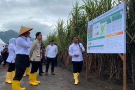 Wapres pastikan pemerintah dukung petani capai swasembada gula nasional