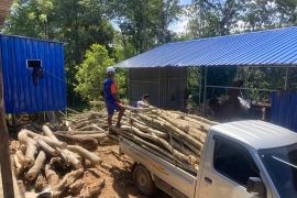 Menanam Asa Meraih Harapan, dari Biomassa untuk Bangsa