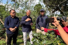 PTPN I komitmen bangkitkan kejayaan kopi nasional melalui hilirisasi