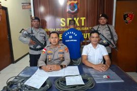 Polisi: Pencuri sapi di Sumba Barat terancam hukuman tujuh tahun penjara