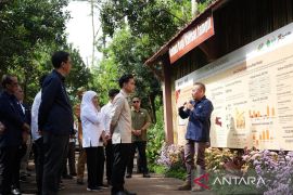 Wapres Gibran Dukung Hilirisasi dan Branding Kopi Ijen