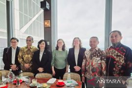 ART TREES Jajaki Kolaborasi Kredit Karbon di Riau