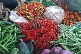 Anomali cuaca picu kenaikan harga cabai dan tomat di Mataram