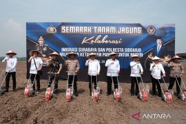 Imigrasi Surabaya dukung program pemerintah di bidang pangan