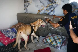 Penggeledahan terkait kasus narkoba di Balikpapan