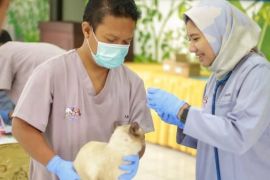 Cegah sebaran, Pemkot Madiun gelar vaksinasi rabies gratis