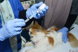 Bakti sosial vaksinasi rabies di Madiun