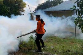 Pemkot Tanjungpinang lakukan pengasapan akibat kasus DBD meningkat