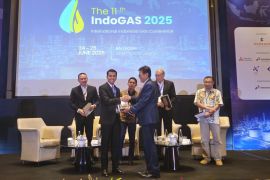 Tenaga Ahli Menteri ESDM: Infrastruktur LNG jadi solusi penuhi gas domestik