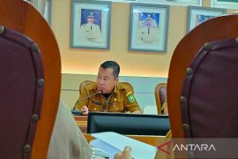 Pemkab Natuna perkuat tata kelola data daerah lewat pembentukan Bidang Statistik,