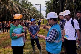 PLN Sumut beri edukasi pekerja kelapa  sawit potensi bahaya kelistrikan