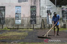 Produksi biji kopi Puhu khas Desa Bandung Pandeglang