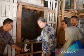 Fonterra tingkatkan program pengembangan susu sapi di Padang Panjang untuk perkuat kapabilitas lokal dan dukung ketahanan pangan nasional