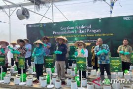 Bank Indonesia Banten fasilitasi petani tanam cabai teknologi digital farming