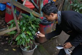Sudinkes Jakbar gencarkan pemberantasan sarang nyamuk di Hutan Kota Srengseng