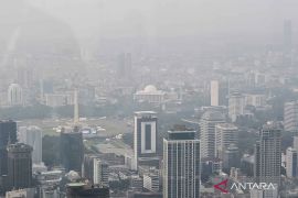 DKI cari payung hukum sanksi sosial pembakar sampah