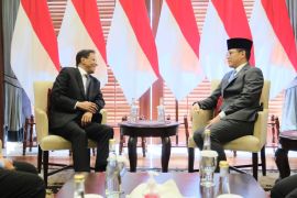 Menlu RI ajak Mauritania tangani isu Palestina melalui forum OKI