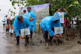 Daaz Group tanam 5 ribu mangrove jaga  pelestarian lingkungan di pesisir