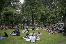 Kementrans pastikan pelepasan status area hutan tidak ganggu konservasi