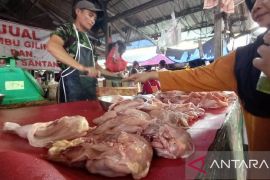 Babel pastikan stok daging sapi cukup untuk libur tahun baru