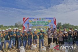Grup Astra Agro di Inhu Panen Raya Jagung Dukung Ketahanan Pangan