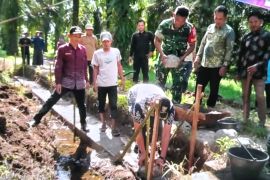 Pemkab Pasaman Barat dorong nagari bangun jalan usaha tani