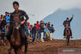 Festival Kuda Tradisional Cibogo jadi atraksi menarik buat hiburan rakyat di Sumedang