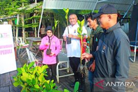 Polresta tanam mangrove di Teluk Ambon jaga ekosistem pantai