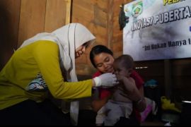 Kalsel kemarin dari  perluasan areal tanam padi hingga akses wisata