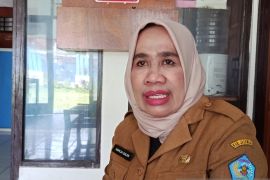 Pemkab Jayawijaya dorong kapasitas perempuan di sektor UMKM